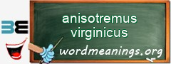 WordMeaning blackboard for anisotremus virginicus